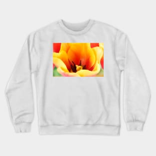 Tulipa  &#39;Indian Summer&#39;  Triumph Group  Tulip Crewneck Sweatshirt